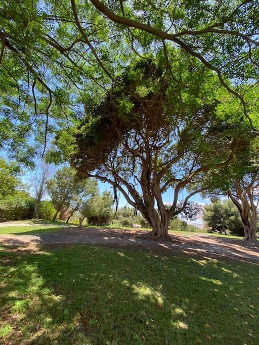 Apt Moderno Con Vistas, Recepcion 24 Hs Y Piscinas Benalmádena Exterior foto
